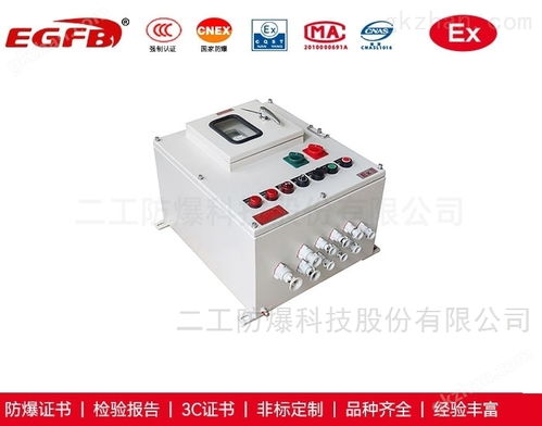 工業(yè)電爐熱處理用帶防護(hù)小門防爆配電箱